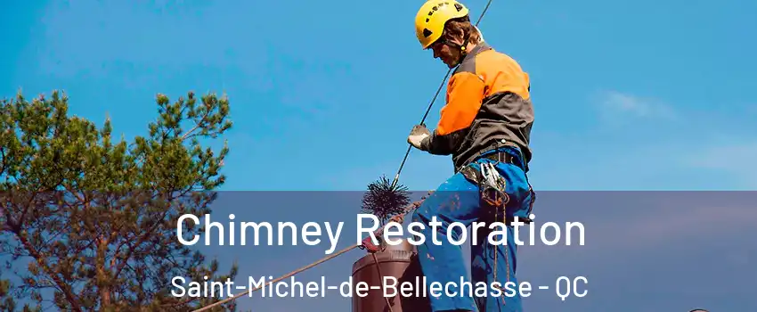  Chimney Restoration Saint-Michel-de-Bellechasse - QC
