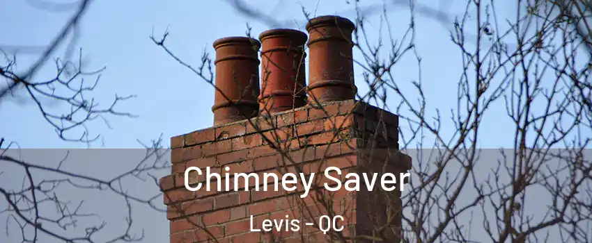 Chimney Saver Levis - QC