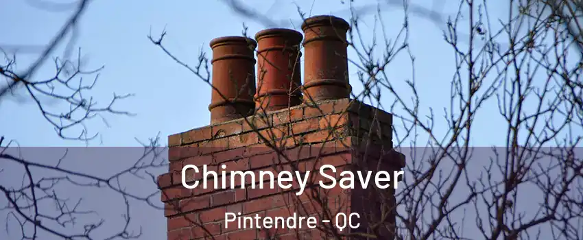 Chimney Saver Pintendre - QC