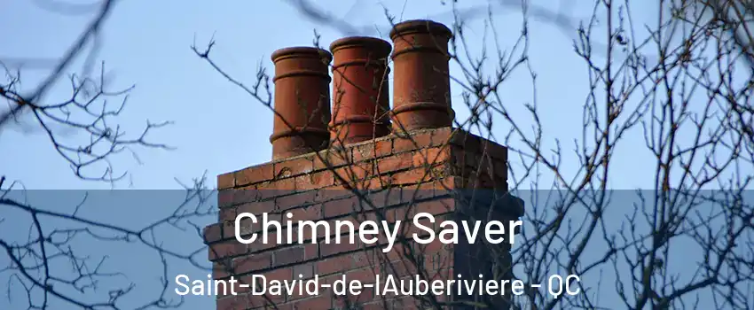 Chimney Saver Saint-David-de-lAuberiviere - QC
