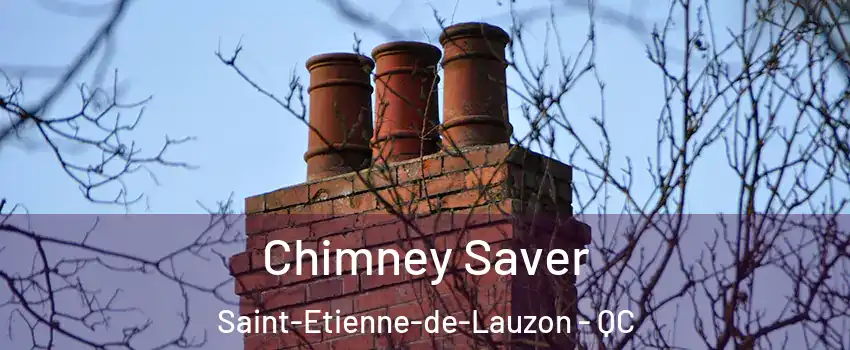 Chimney Saver Saint-Etienne-de-Lauzon - QC