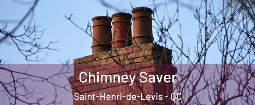  Chimney Saver Saint-Henri-de-Levis - QC