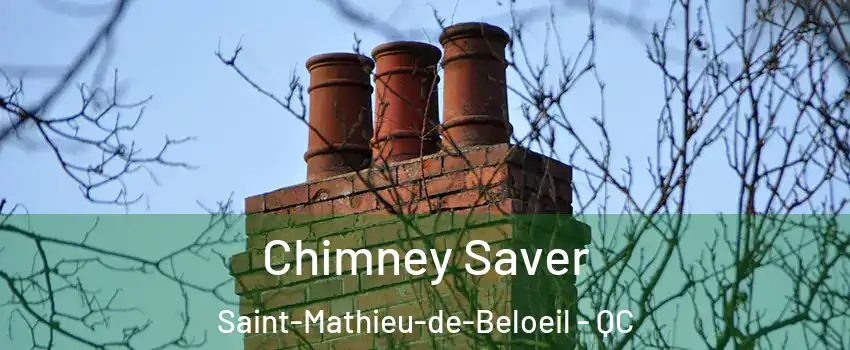 Chimney Saver Saint-Mathieu-de-Beloeil - QC