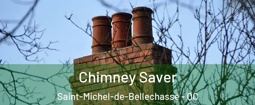 Chimney Saver Saint-Michel-de-Bellechasse - QC