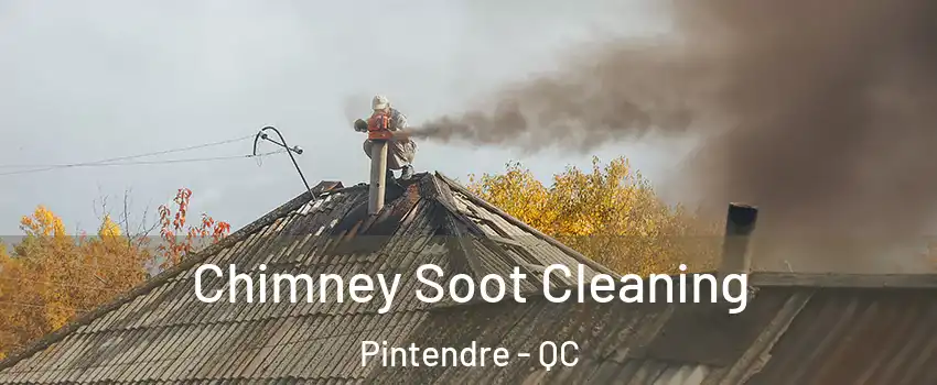 Chimney Soot Cleaning Pintendre - QC