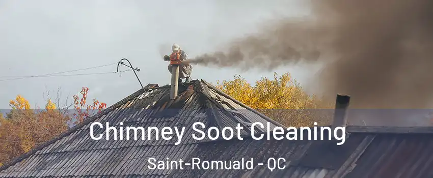 Chimney Soot Cleaning Saint-Romuald - QC