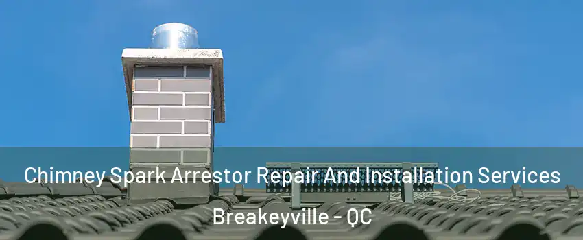 Chimney Spark Arrestor Repair And Installation Services Breakeyville - QC