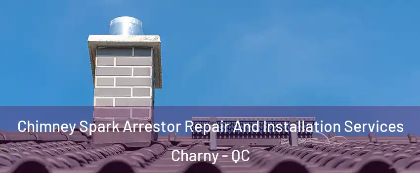 Chimney Spark Arrestor Repair And Installation Services Charny - QC
