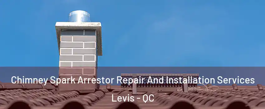Chimney Spark Arrestor Repair And Installation Services Levis - QC