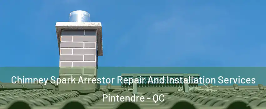 Chimney Spark Arrestor Repair And Installation Services Pintendre - QC