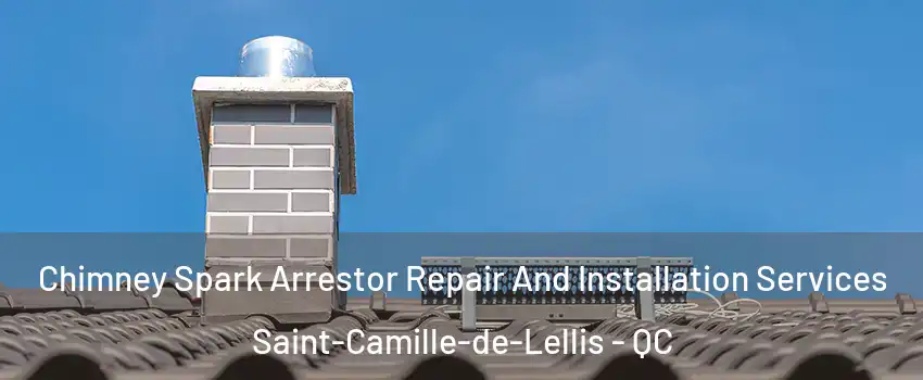 Chimney Spark Arrestor Repair And Installation Services Saint-Camille-de-Lellis - QC