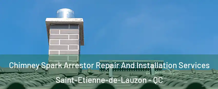  Chimney Spark Arrestor Repair And Installation Services Saint-Etienne-de-Lauzon - QC