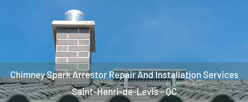  Chimney Spark Arrestor Repair And Installation Services Saint-Henri-de-Levis - QC