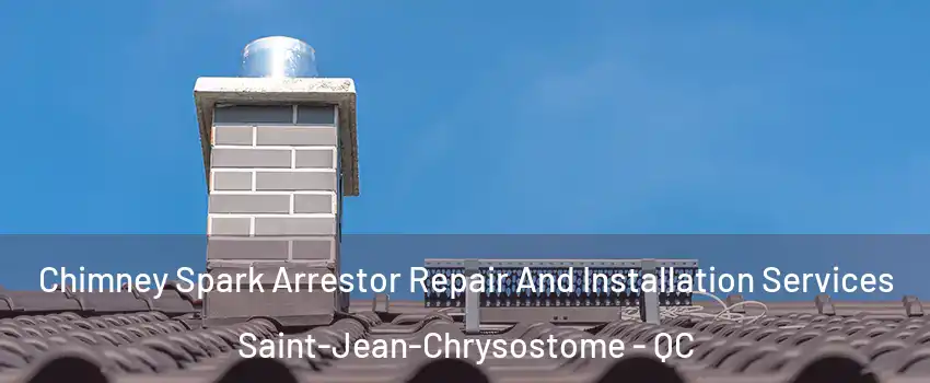 Chimney Spark Arrestor Repair And Installation Services Saint-Jean-Chrysostome - QC