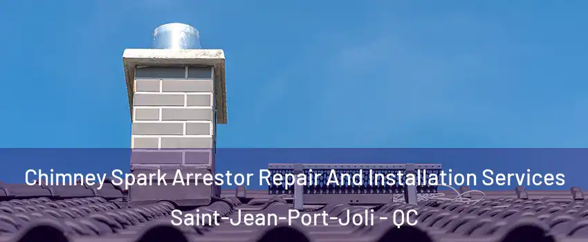 Chimney Spark Arrestor Repair And Installation Services Saint-Jean-Port-Joli - QC