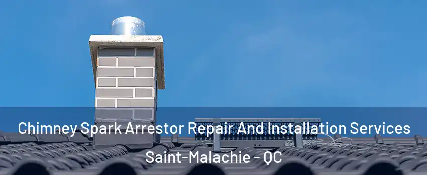 Chimney Spark Arrestor Repair And Installation Services Saint-Malachie - QC