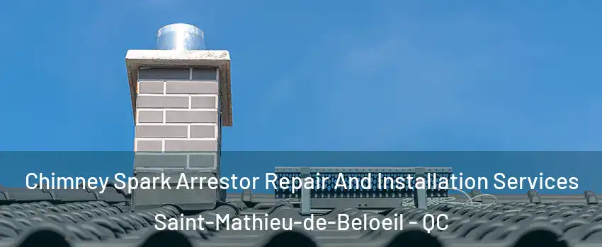 Chimney Spark Arrestor Repair And Installation Services Saint-Mathieu-de-Beloeil - QC