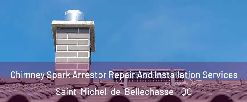 Chimney Spark Arrestor Repair And Installation Services Saint-Michel-de-Bellechasse - QC