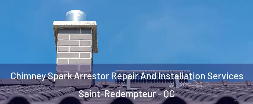 Chimney Spark Arrestor Repair And Installation Services Saint-Redempteur - QC