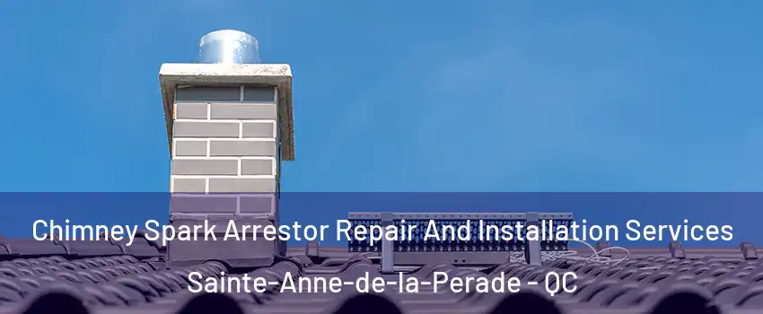  Chimney Spark Arrestor Repair And Installation Services Sainte-Anne-de-la-Perade - QC