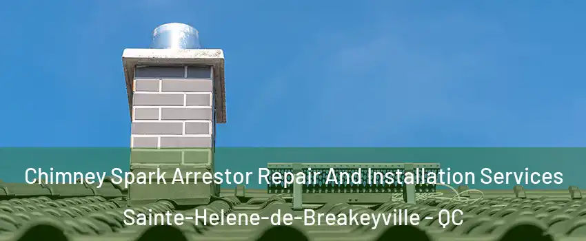  Chimney Spark Arrestor Repair And Installation Services Sainte-Helene-de-Breakeyville - QC