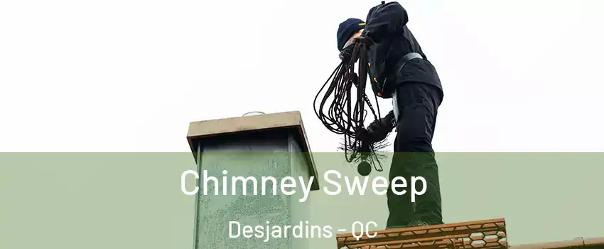 Chimney Sweep Desjardins - QC