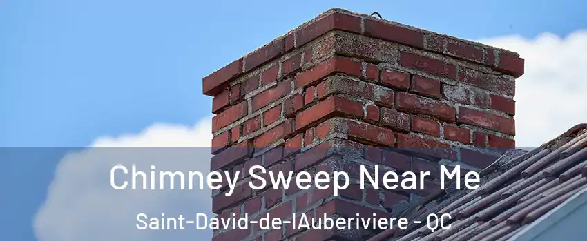 Chimney Sweep Near Me Saint-David-de-lAuberiviere - QC