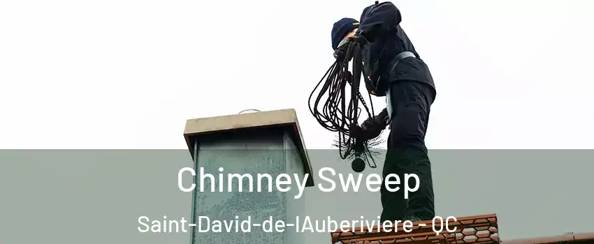  Chimney Sweep Saint-David-de-lAuberiviere - QC