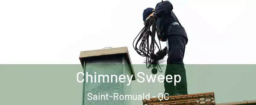 Chimney Sweep Saint-Romuald - QC