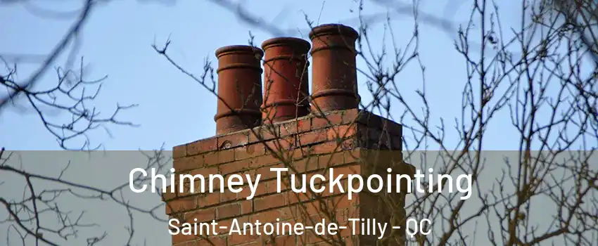 Chimney Tuckpointing Saint-Antoine-de-Tilly - QC
