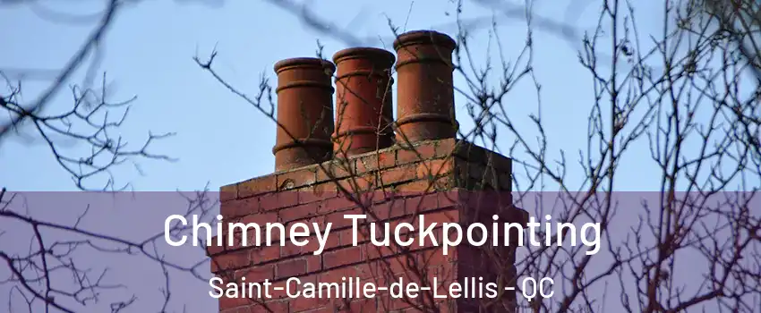 Chimney Tuckpointing Saint-Camille-de-Lellis - QC