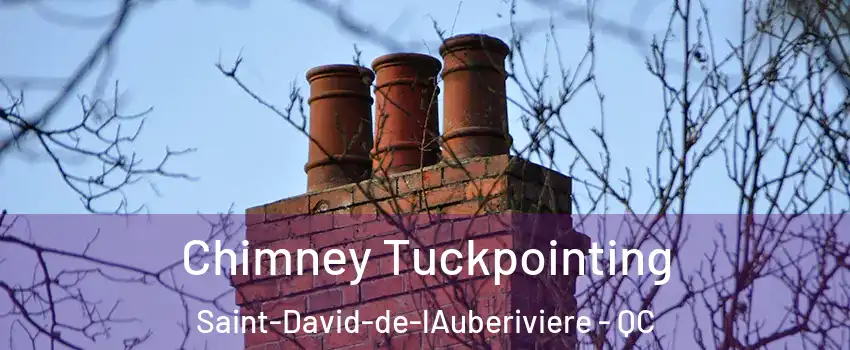 Chimney Tuckpointing Saint-David-de-lAuberiviere - QC