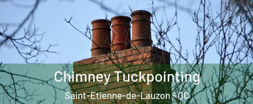 Chimney Tuckpointing Saint-Etienne-de-Lauzon - QC