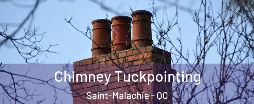  Chimney Tuckpointing Saint-Malachie - QC