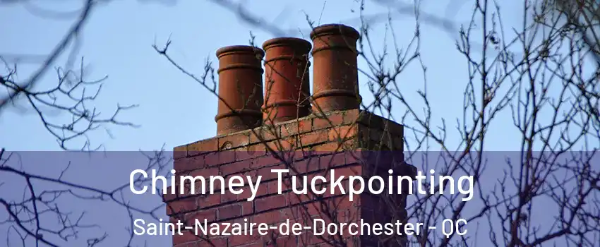  Chimney Tuckpointing Saint-Nazaire-de-Dorchester - QC