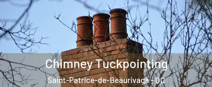 Chimney Tuckpointing Saint-Patrice-de-Beaurivage - QC
