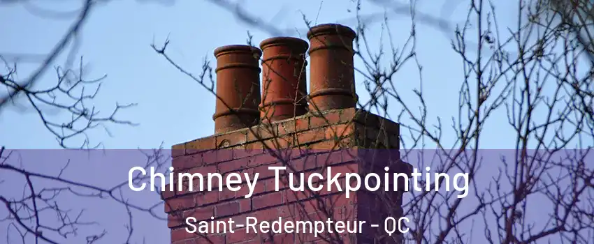 Chimney Tuckpointing Saint-Redempteur - QC