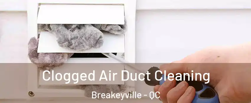  Clogged Air Duct Cleaning Breakeyville - QC