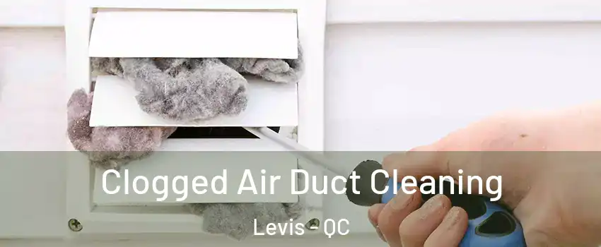 Clogged Air Duct Cleaning Levis - QC