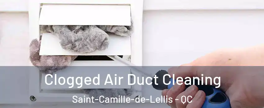 Clogged Air Duct Cleaning Saint-Camille-de-Lellis - QC