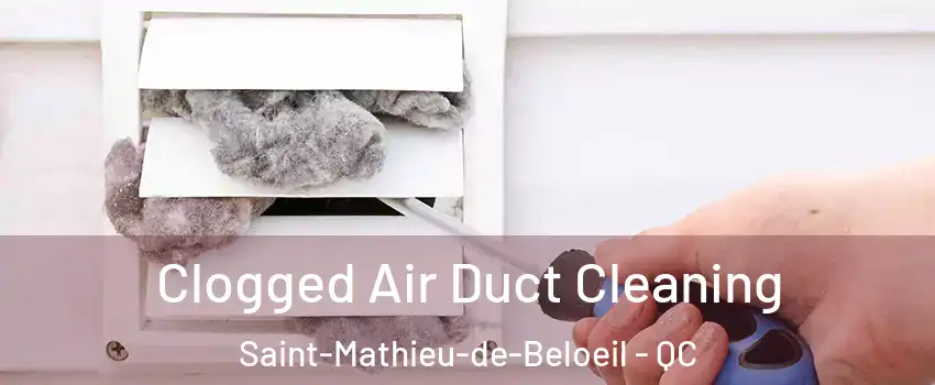Clogged Air Duct Cleaning Saint-Mathieu-de-Beloeil - QC