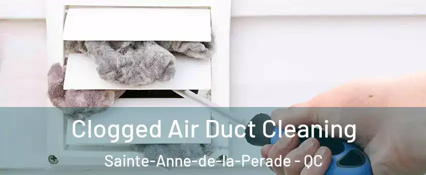 Clogged Air Duct Cleaning Sainte-Anne-de-la-Perade - QC