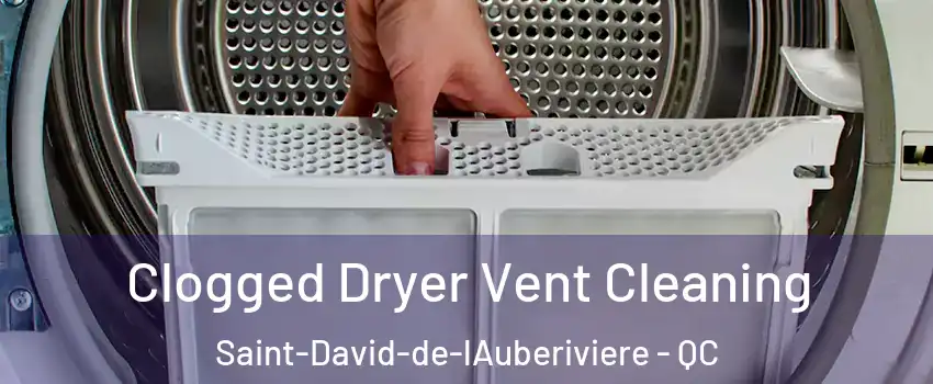 Clogged Dryer Vent Cleaning Saint-David-de-lAuberiviere - QC