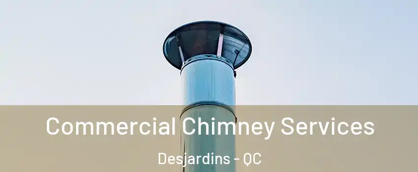 Commercial Chimney Services Desjardins - QC