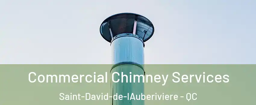  Commercial Chimney Services Saint-David-de-lAuberiviere - QC