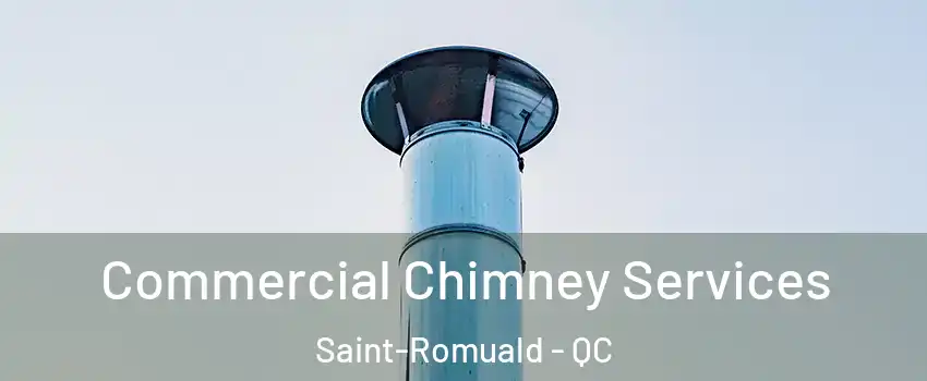 Commercial Chimney Services Saint-Romuald - QC