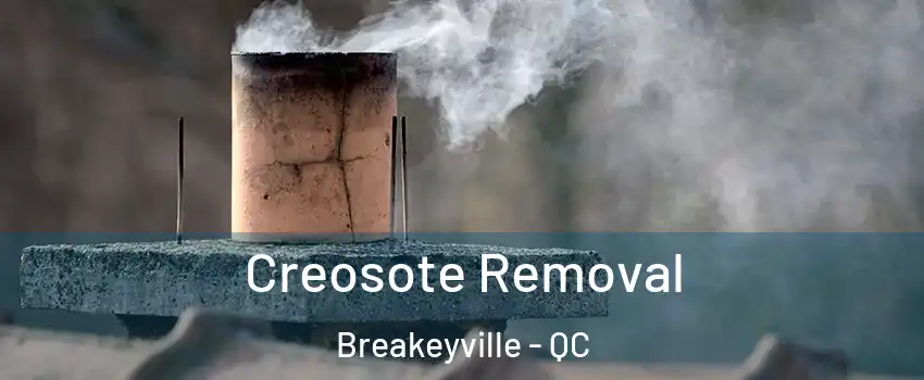 Creosote Removal Breakeyville - QC