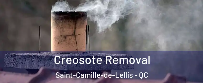 Creosote Removal Saint-Camille-de-Lellis - QC