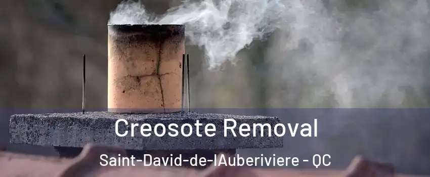 Creosote Removal Saint-David-de-lAuberiviere - QC