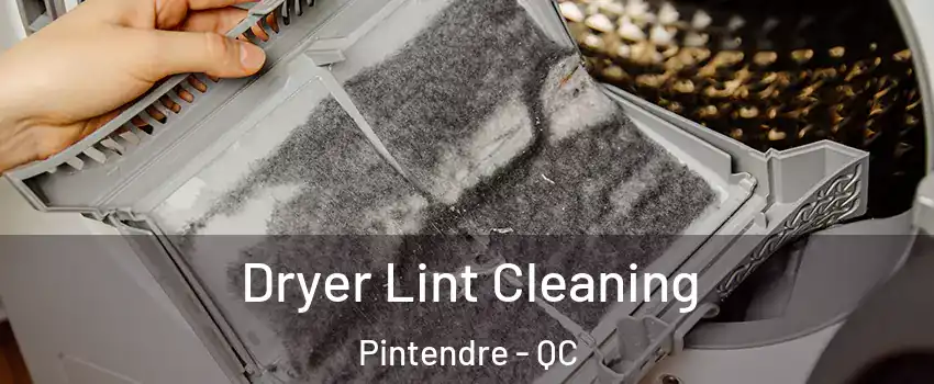  Dryer Lint Cleaning Pintendre - QC